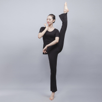 Dance pants flared pants adult practice pants female modal pants shape pants slim high waist black Thin Thin