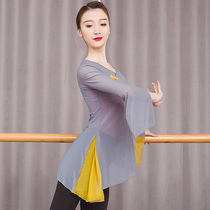 Classical dance body rhyme with female performance gradient Chinese dance Costume Horn Sleeve Ancient Wind Blouse Dance Dress dress