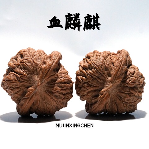 核桃血麒麟精选和核桃血麒麟品牌价格与图片-淘宝商品网