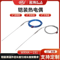 Famous Yang K type high precision probe type armored thermocouple WRNK-191 flexible probe J type temperature sensor