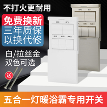Five open Bath switch 5 lights toilet heater heater control panel household bathroom toilet five in one
