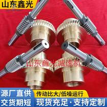 Metal worm gear accessories custom 1 5 die 2 die 2 5 die 3 die 4 die 45# worm reducer gear