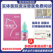 Bledley eye drops Cat branch nose Cat herpes virus calicivirus infection conjunctivitis Cat eye drops