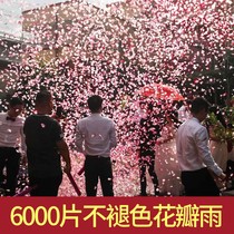 Wedding supplies salute ribbon fireworks tube wedding gift bubble tube wedding opening hand-held color cannon petal rain spray tube