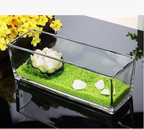 Transparent hydroponic glass flowerpot vase turtle tank rectangular cylinder S-cylinder plant flower Ware green narcissus
