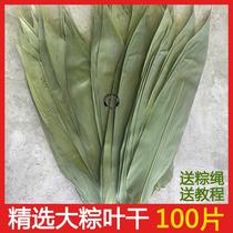 ? Zongye Zongzong cotyledons free mail fresh large dried household bamboo leaves wrapped in zongzi leaves extra large brown leaf reeds