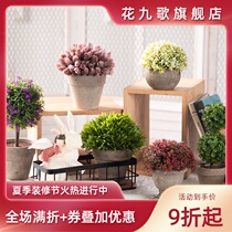 Flower nine songs simulation green plant potted balcony office desktop decoration fake mini miniature bonsai jewelry small ornaments