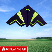 Kite childrens invisible plane cartoon adult anti-wind triangle breeze easy to fly high-end 2021 new
