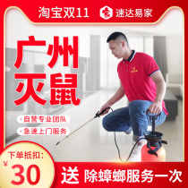 Guangzhou rodent service professional chu zhang lang catch rat flea & Street bugs four pests termite control disinfection door-to-door service