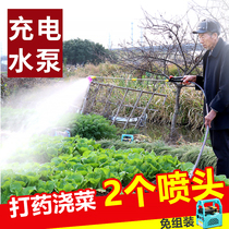 Electric sprayer high-pressure new agricultural sprayer pesticide sprayer pesticide sprayer artifact Lithium electric water pump