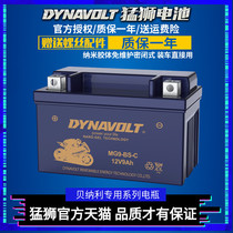 meng shi motorcycle battery Benelli 752 302 Jinpeng TRK502X Cubs 500 250 Huanglong 600 300