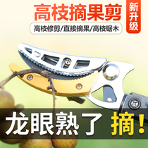 Fruit picking device Yangmei litchi loquat fruit cutting knife telescopic high-altitude scissors picking longan artifact high branch scissors