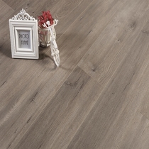 Holy Elephant composite laminate floor wear-resistant moisture-proof does not change color living room bedroom light gray GT3123 St. Marks Night