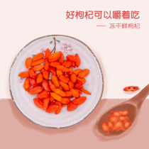  Natural collection freeze-dried fresh wolfberry Authentic Zhongning Wolfberry fresh jelly dried Ningxia Wolfberry 24g