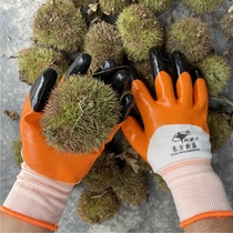 Suitable for special anti-cutting chestnut sub-art gloves anti-prickly picking Sichuan peppercorn moon season flower exfoliating glove garden anti-prick gloves off