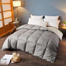 95 white goose down quilt duvet thickened warm winter quilt core warm student dormitory double spring and autumn quilt 8 pounds