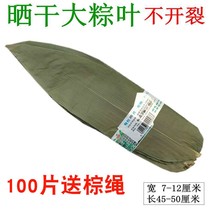  Fresh dried large rice dumpling leaves dry brown leaves wide rice dumpling leaves rice dumpling leaves 100 pieces free rice dumpling rope