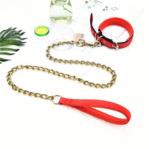 Dog chain anti-bite dog leash Teddy golden hair walking dog rope small medium-sized large dog collar pet
