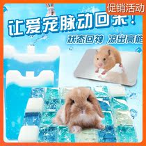 Pet cooling board Rabbit Totoro hamster cooling board summer heat dissipation aluminum alloy ice bed ice mat summer heat supplies