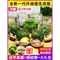 Ornamental ecological bottle fish micro landscape water-free water-free care diy aquarium office desktop creative landscape fish tank