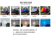 966320 Motorcycle Helmet Full Armor Lens Wind Shield Glass Anti-Fog Black Color Silver Transparent Gold Color