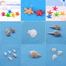 Micro landscape decorations Conch sea star shell car sand table fish tank Mediterranean ornaments