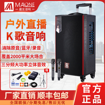 Manlong square dance audio Outdoor high-power K song wireless microphone Net Red live performance mobile rod speaker