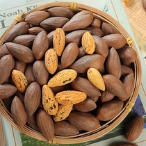 2021 new products Zhuji Fengqiao specialty Torreya fragrant Torreya pepper salt bagged super nut snacks Zhuji Fengqiao specialty dried fruit