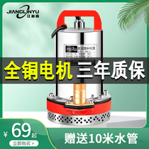 DC submersible pump 12V24V pump 48V60V volt electric battery car agricultural small household high pressure water pump