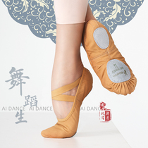 All love dance Garden Chinese dance dance shoes female summer professional ballet test Foundation soft bottom dance shoes national dance practice shoes