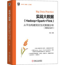 Practical big data(Hadoop Spark Flink) from platform construction to interactive data analysis(offline real-time)