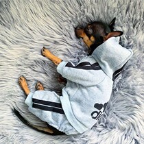 Dog clothes four-legged clothes Teddy Bome small dog winter dog clothes pet cat clothes autumn and winter clothes