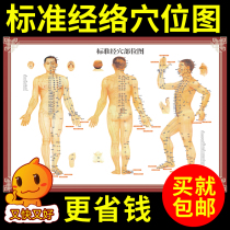 Moxibustion acupoint diagram Human meridian acupoint diagram Human body acupoint diagram large wall diagram full body high-definition household acupuncture male