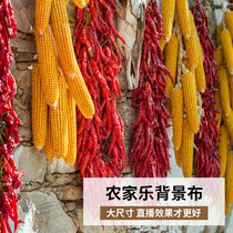 Farm Corn Net Red Studio Decorative Background Rural Scenery Broken House Shake Sound Fast Hand 3d Stereo Anchor Photo Background Cloth Room Layout Grassland Traceless Curls