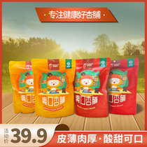 Shanxi Datong 230gx2 sweet and sour apricot meat candied fruit dried apricots specialty snacks dried fruit apricots high apricots