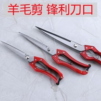 Manual wool scissors rabbit hair scissors cow hair horsehair scissors pet Scissors Spring household leather