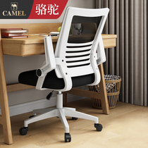 Camel computer chair backrest home lift pulley seat comfortable sedentary swivel chair boss chair simple office chair