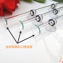 Small glass crystal shrimp tube feeder ornamental fish shrimp bowl feeding shrimp Basin