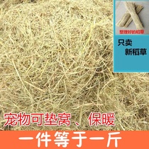 Chicken coop straw paint rabbit Dutch pig warm pet edible grass natural haystack straw rope pet hay mat nest