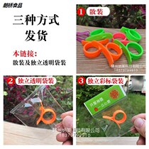 Peel orange artifact ring opener navel orange peeler wo citrus peel Peel guava fruit opener