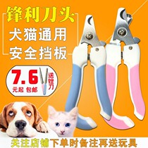 Pet Nail Cut Teddy Gold Wool Pooch Fingernail Knife In Large Canine Nail Clippers Small Kitty Toe Nail Scissors