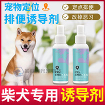 Chai dog special dog-inducing agent dog bowels large canine guide puppies to defecate medium-sized dogs to train puppies