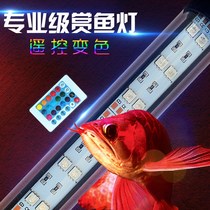 Fish tank LED light dual-purpose diving light plant aquarium light LED light underwater lighting fish light decorative light small three-color