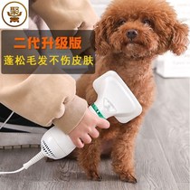 Blow and pull hair all-in-one machine Dog dog Large dog Household pet dog Professional fluffy hair dryer Cat Teddy mute