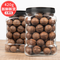 Nuclear work notes Hawaiian fruit large granules non-500g nuts canned creamy dry goods pregnant women snacks dried fruit bulk