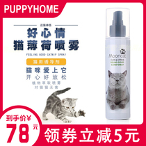 Taiwan moon Meow pet cat mint cat grass instant liquid spray cat toy gnaw bite inducer
