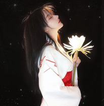 The Gods Teenage Girl Photo Props Fake Flowers Emulation Handheld Pan Hanfu Hanfu Ancient Wind Photography Long-style Ancient Dress Shooting Lotus