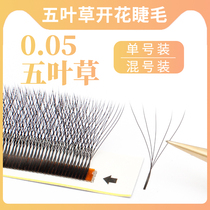 2021 exploits with five leaves of grass eyelash supple soft and not discreet with automatic blooming beauty mascara dedicated grafting false eyelashes