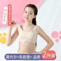 Girls of children developing the first stage of junior high school students vest girls underwear ten 12-13 age