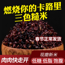 Food Grain Cereals Rice Cereal Rice 10 Haggi Rice Three-color Brown Rice Minus Breakfast Fat Cut Rice Fat Coarse Grain New Rice Red Rice